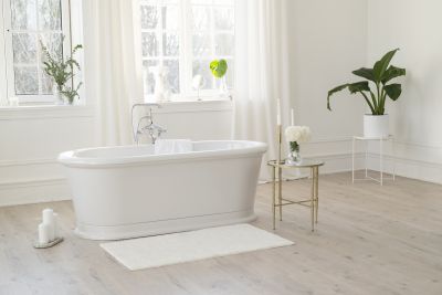 Vintage Style Bathtub Setup